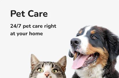 Dog Supplies Online | Aura Pet Shop