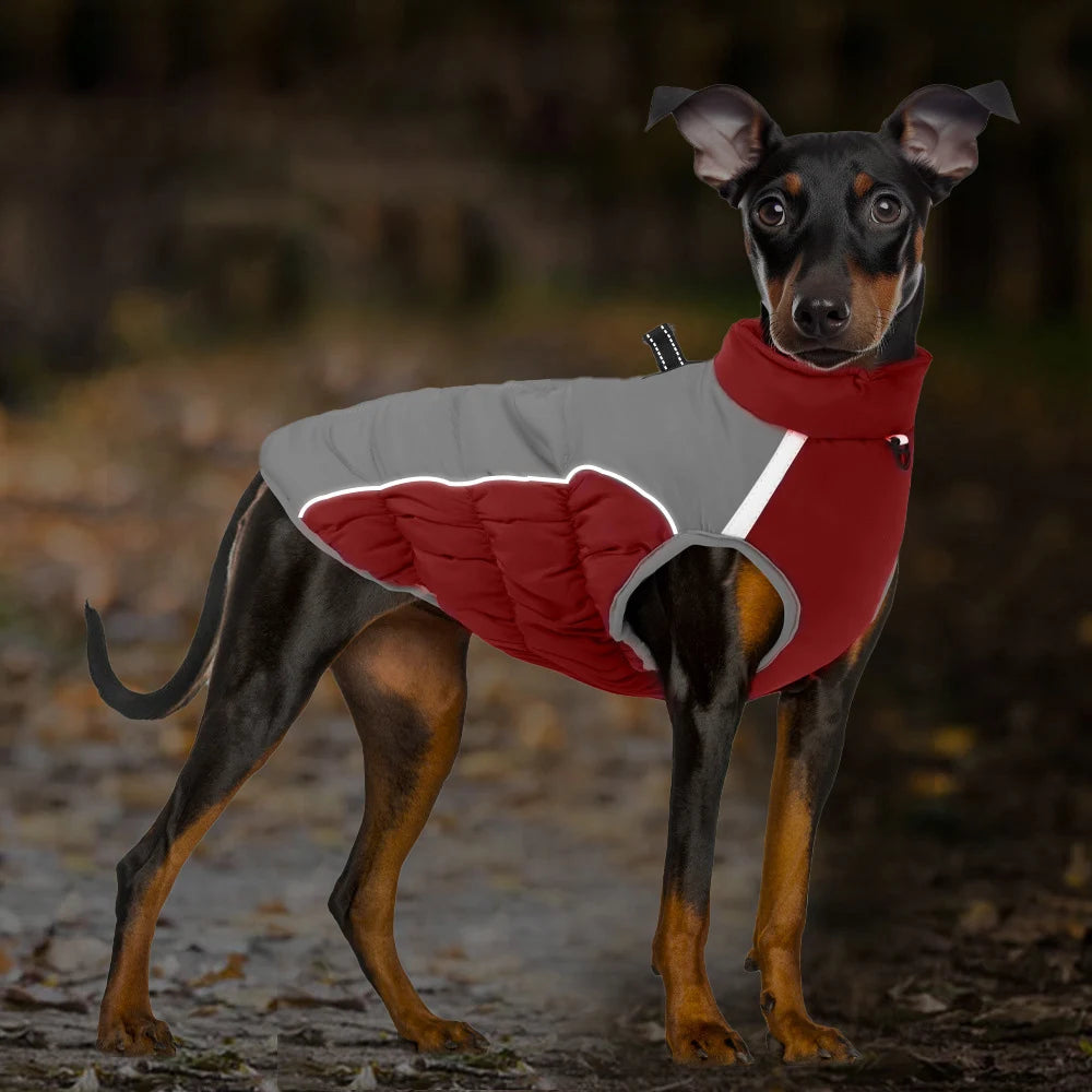 Warm Dog Jackets for Small Dogs, Dogs Winter Coat with Harness Built in, Reflective Pet Puppy Jacket, Waterproof Windproof