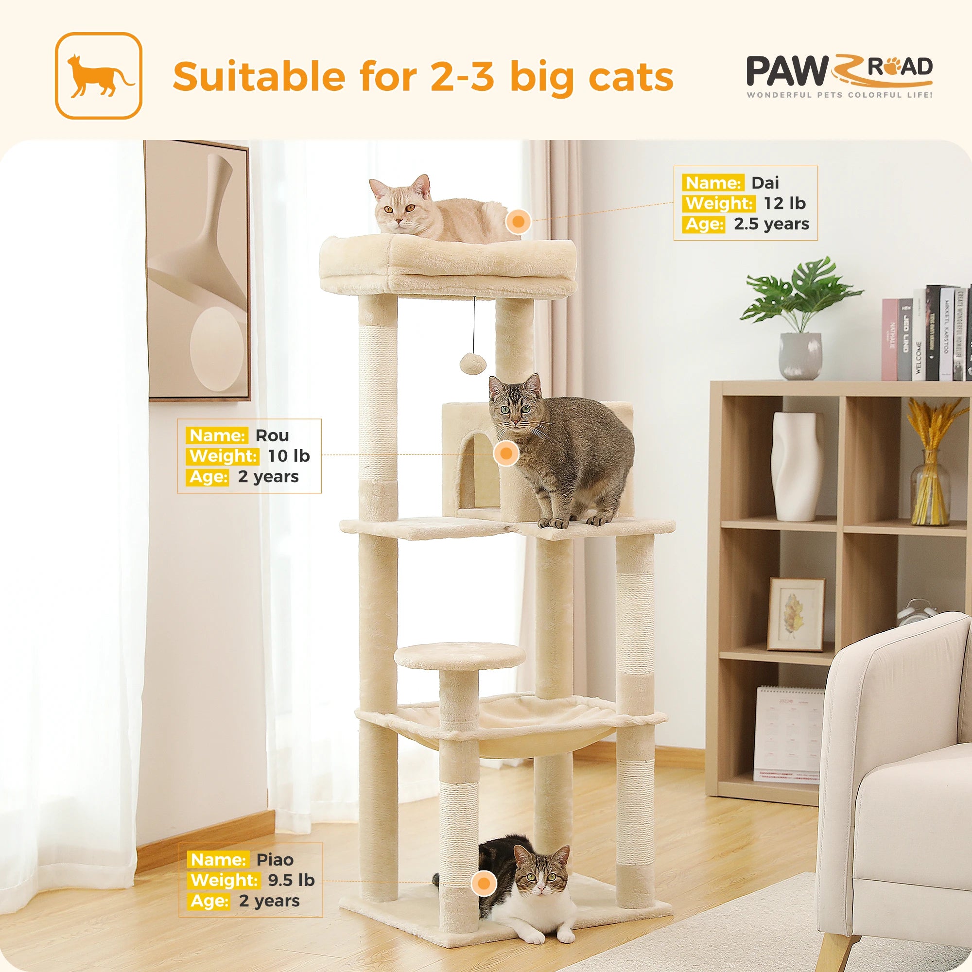Free Shipping  Multi-Level Cat Tree For Cats With Cozy Perches Stable Cat Climbing Frame Cat Scratch Board Toys Cat Furniture