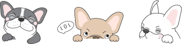 AuraPetShop