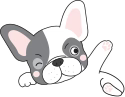 AuraPetShop